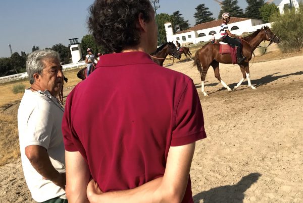 Entrenamientos