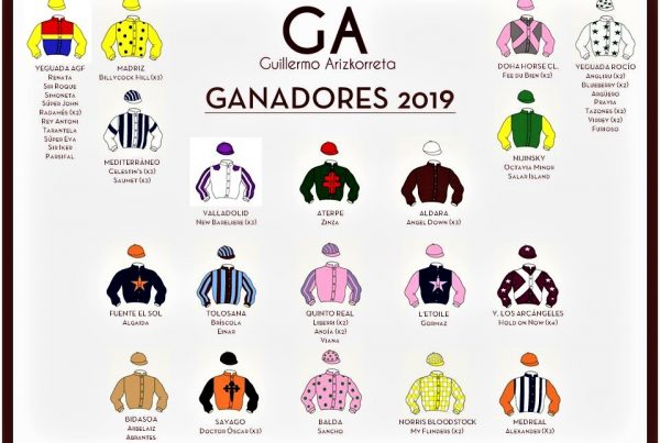 Ganadores 2019